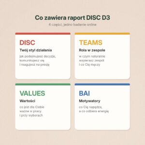 Co zawiera raport DISC D3: DISC, TEAMS, VALUES, BAI